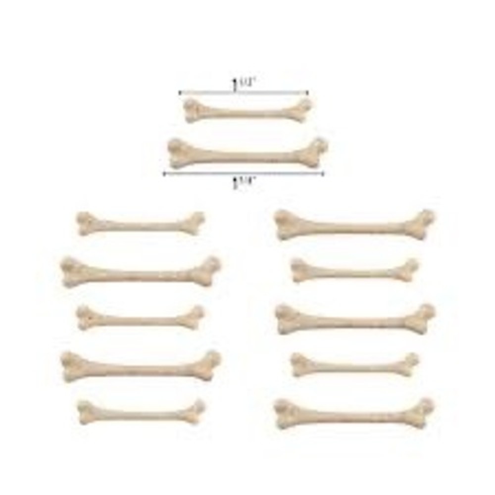 Tim Holtz Idea-ology Boneyard 12 Piece TH94062 New Assemblage Crafting - Picture 6 of 6